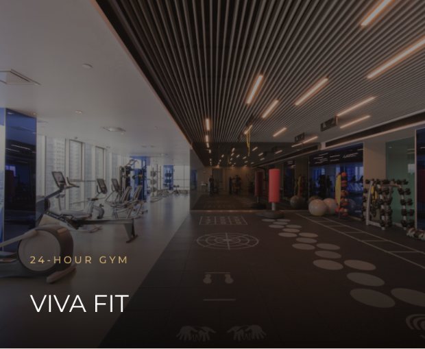 Viva Fit 24-hour gym